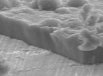 緻密質炭素めっき画像の顕微鏡画像